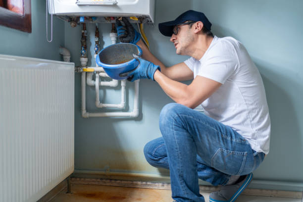 Best Tankless Water Heater Services  in Remsen, IA